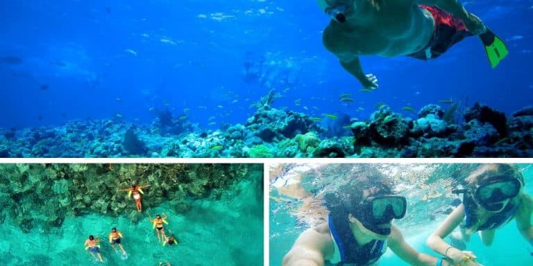 snorkeling-in-punta-cana