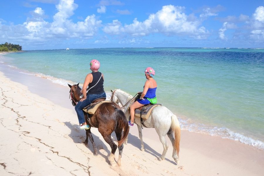 Punta Cana Beach Horseback Riding tour in Punta Cana, Dominican Republic