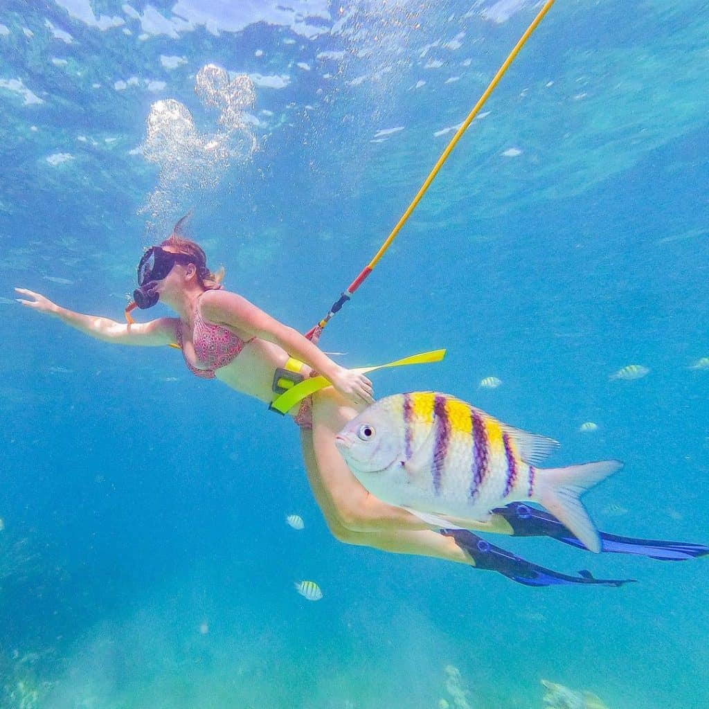 Diving from Punta Cana