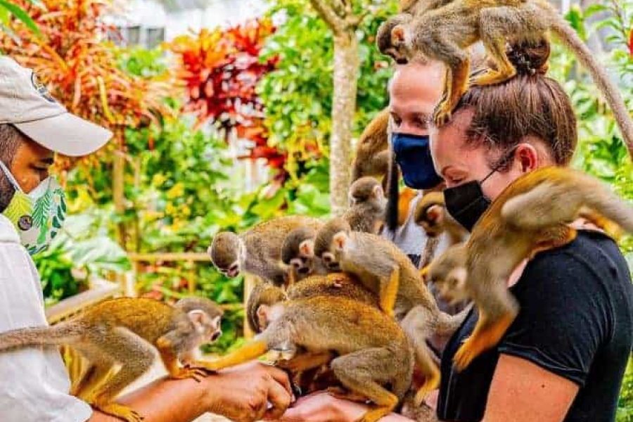 Monkeyland tour from Punta Cana in Punta Cana, Dominican Republic