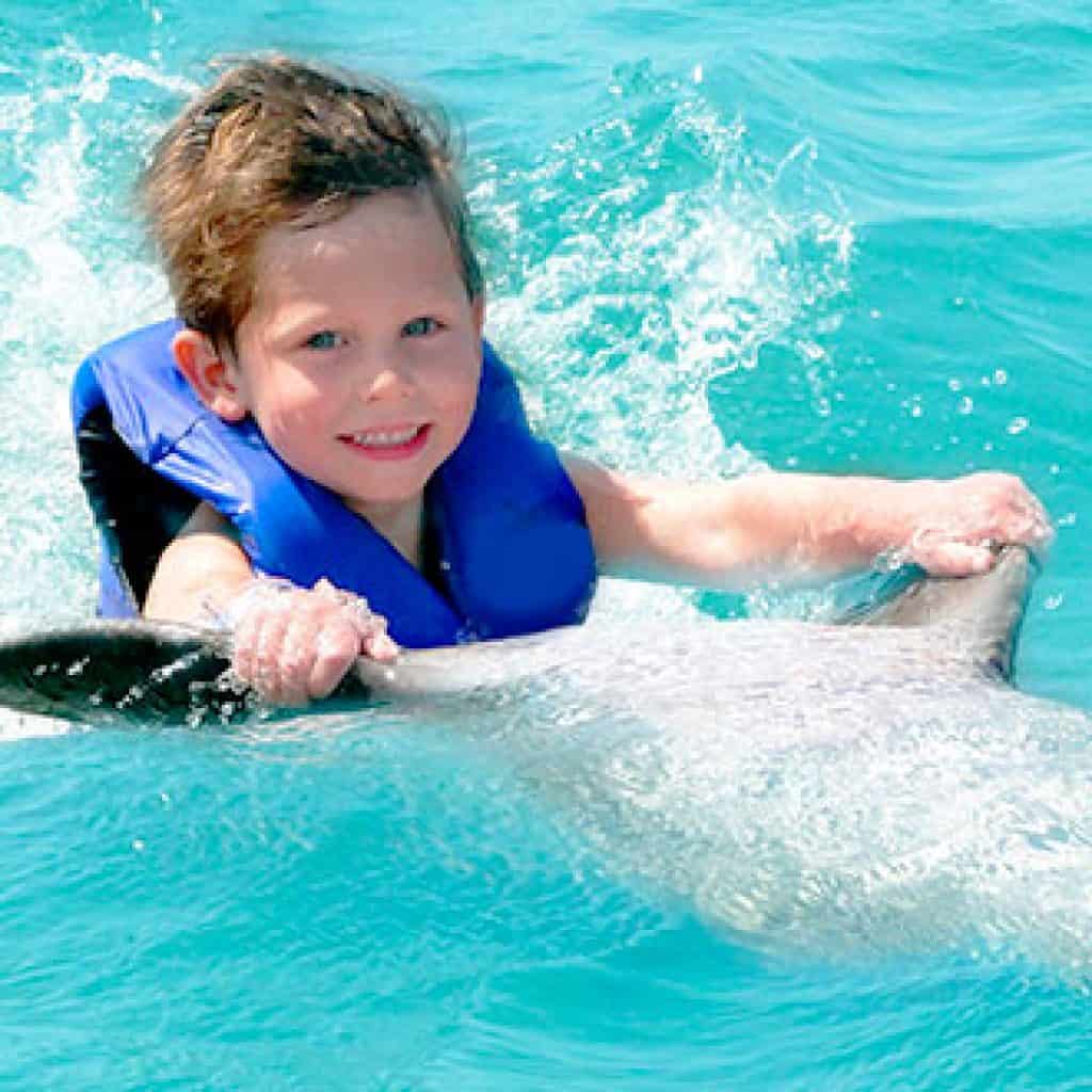 dolphin-activities-for-kids