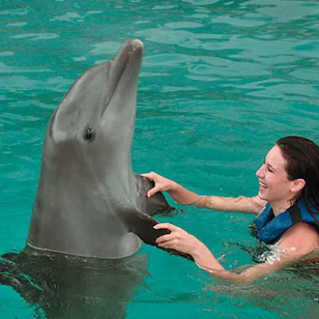 dolphin-dance-bavaro
