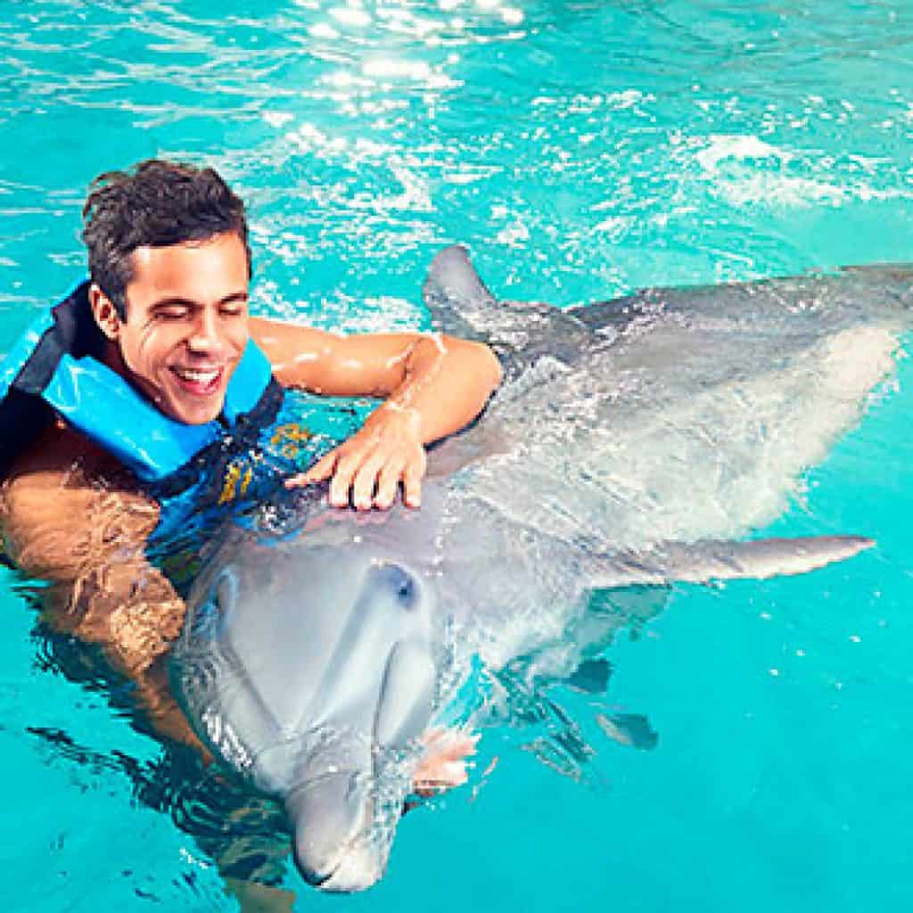 dolphin-hug-bavaro