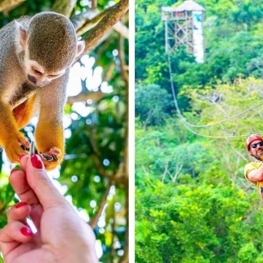 Zip Line & Monkeyland Adventure - Punta Cana