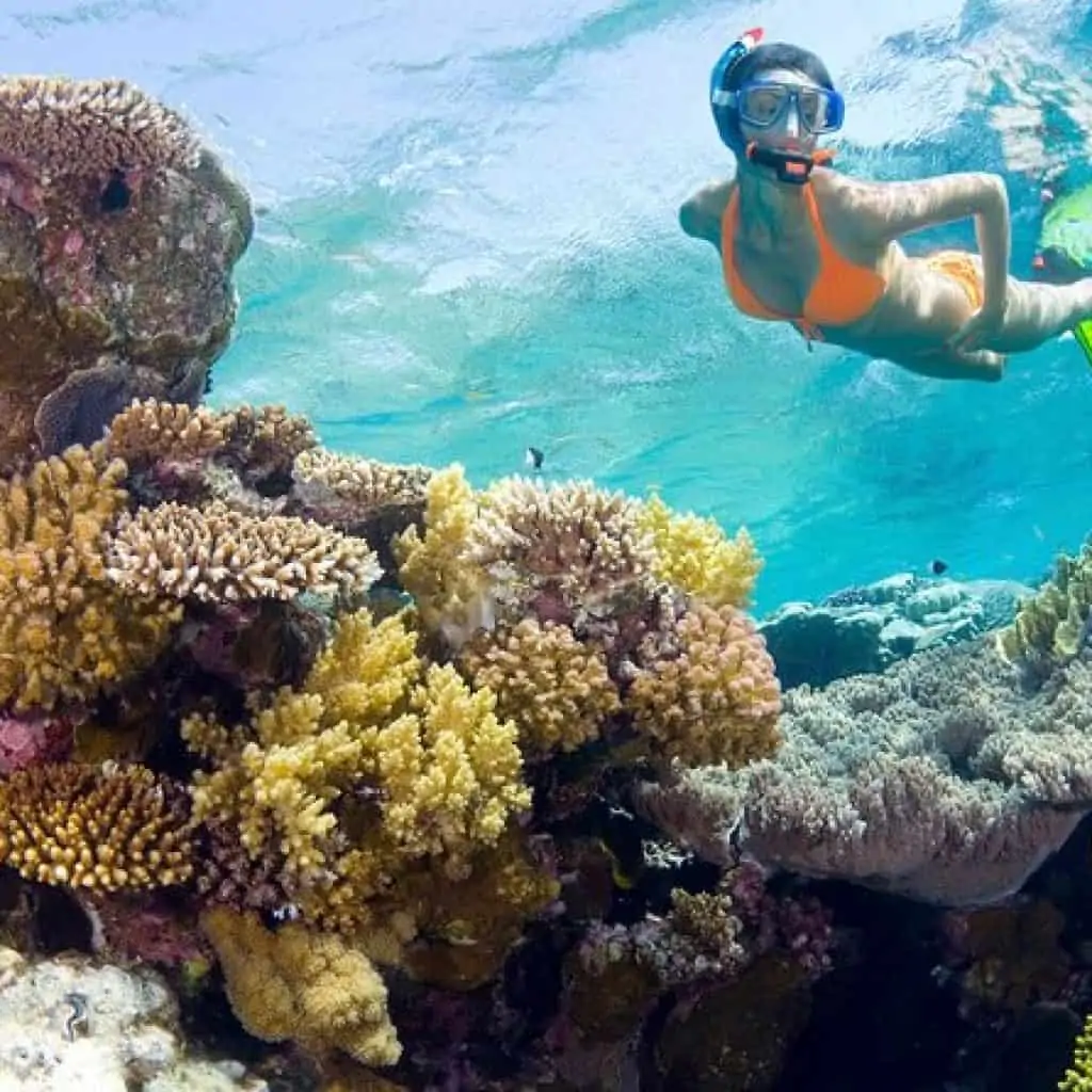 Snorkel