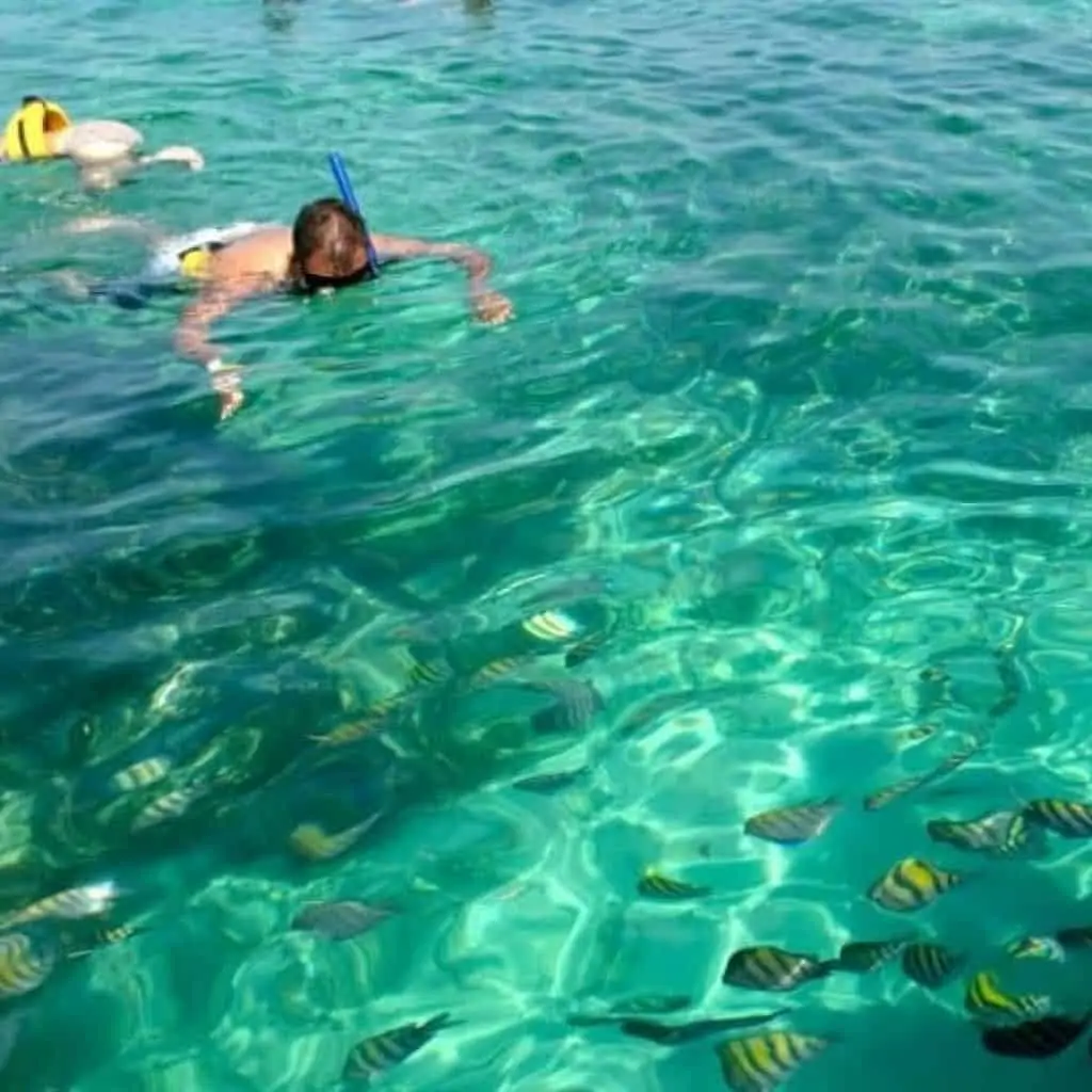 Open Water Snorkeling