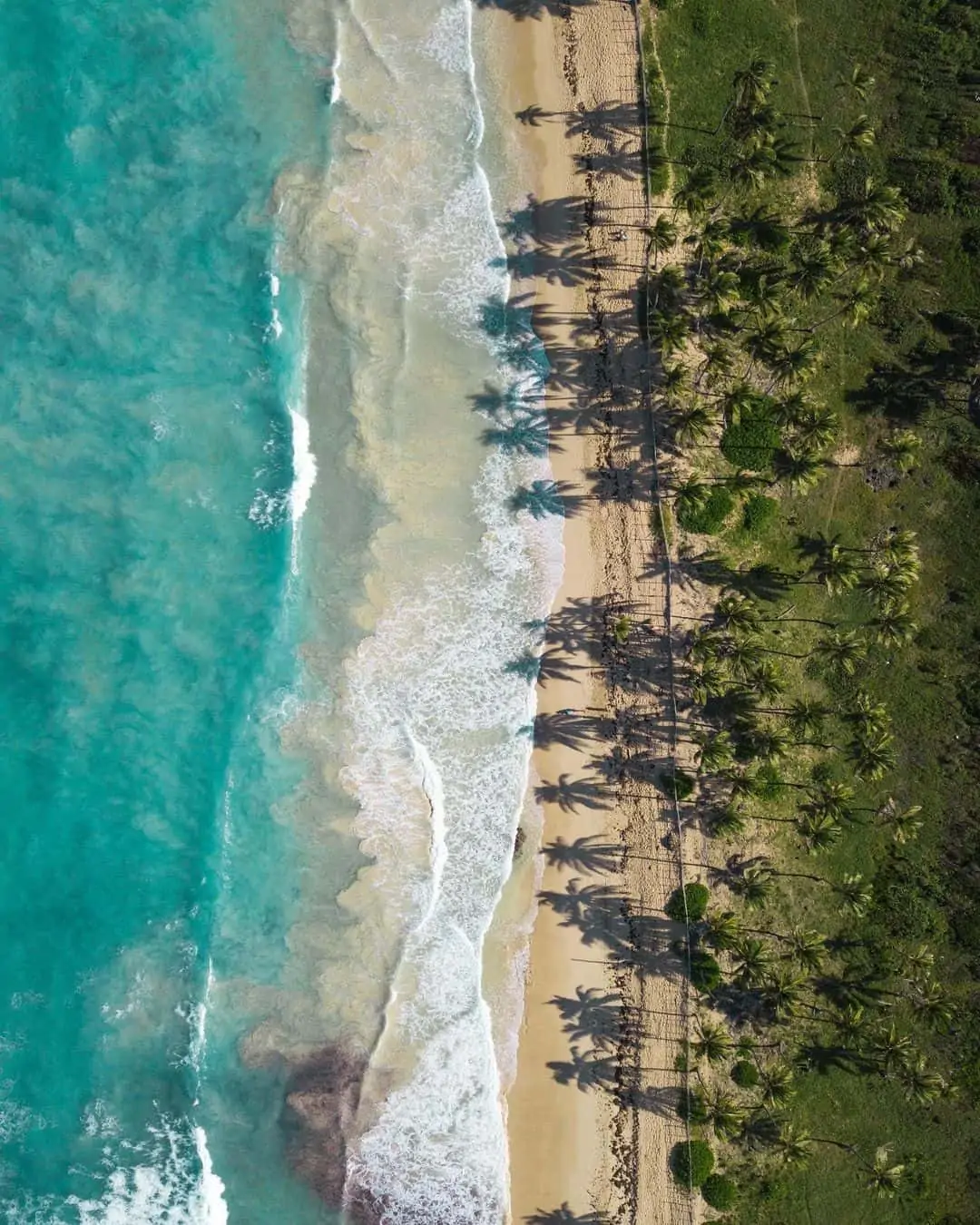 Macao Beach from Above