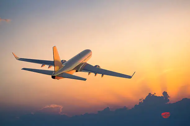 Punta Cana Adventures Flight