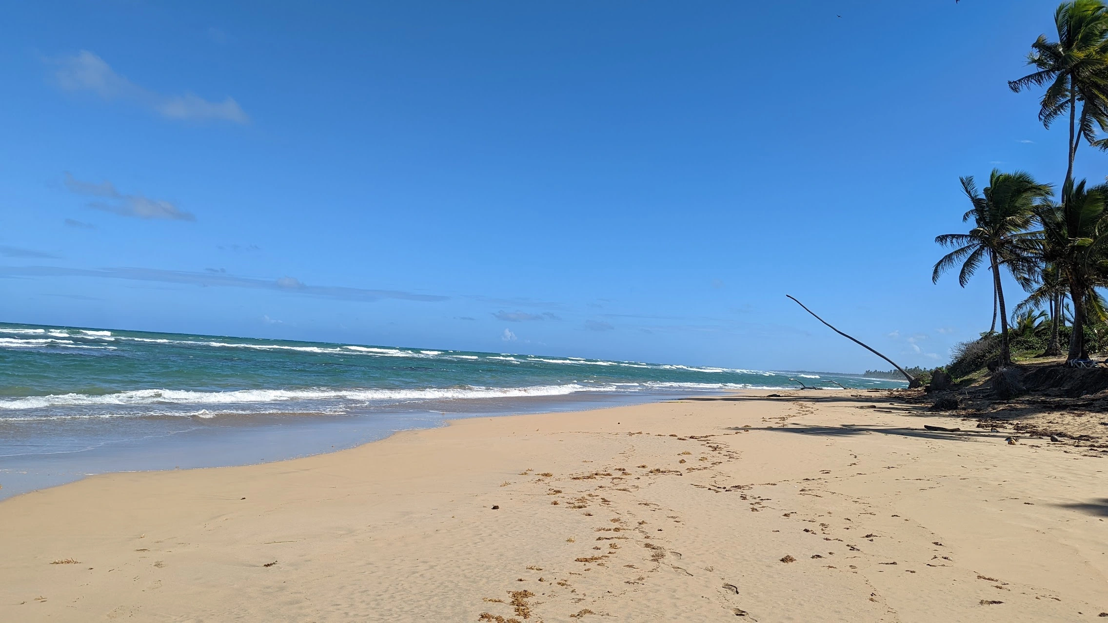 Secluded-Beach-in-Punta-Cana