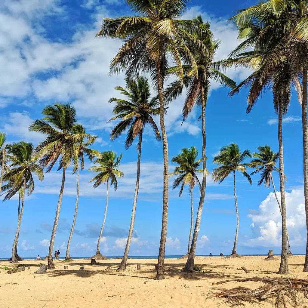 Playa El Macao