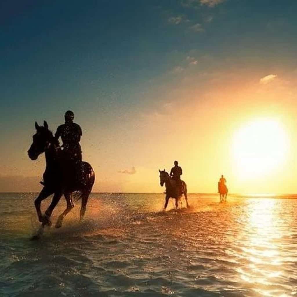 Sunset Horseback Riding Tour from Punta Cana