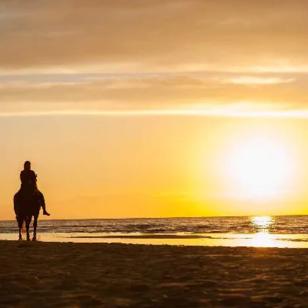 Sunset Horseback Riding tour from Punta Cana - Punta Cana