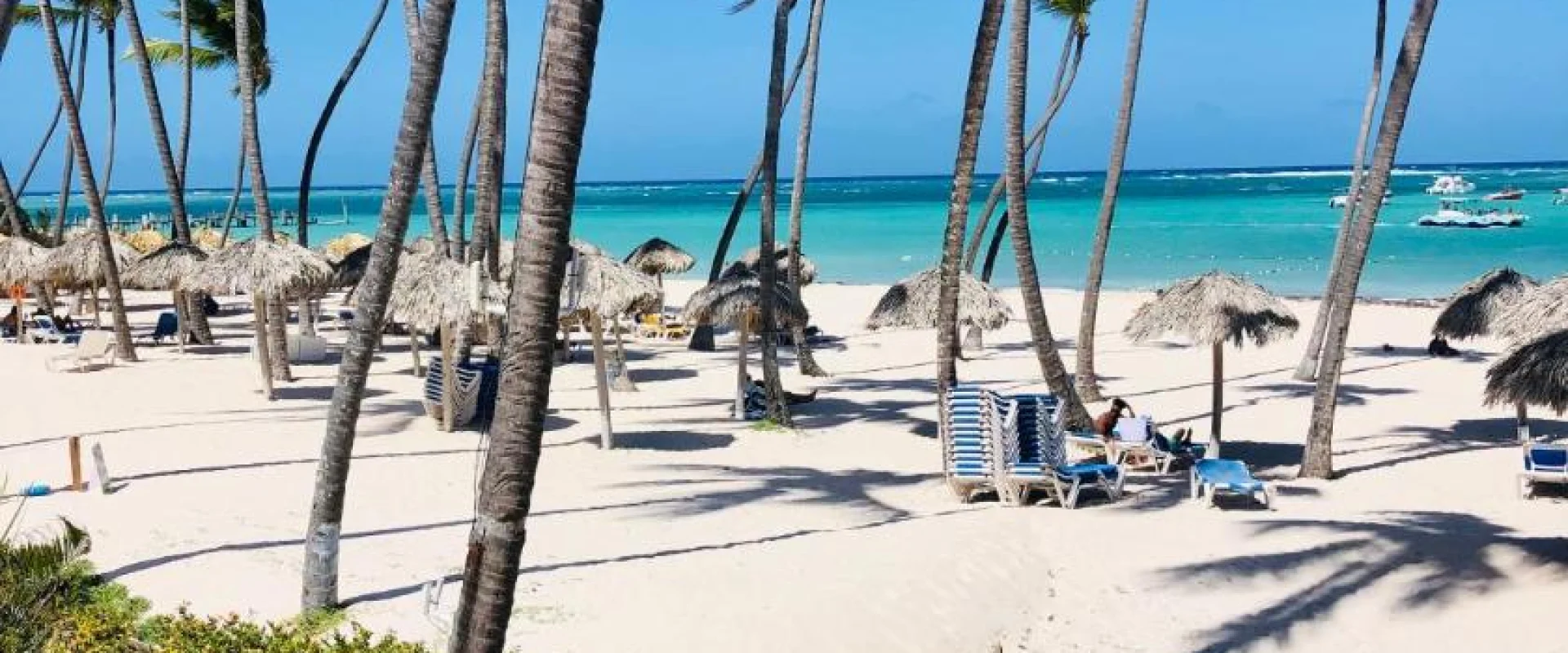 Los Corales Villas Ocean Front Excursões – tours & activities