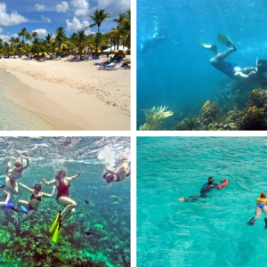 Catalina Island Snorkeling Tour