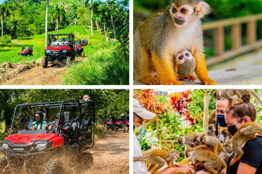 Combo: Monkeyland & Jungle Buggies in Punta Cana, Dominican Republic