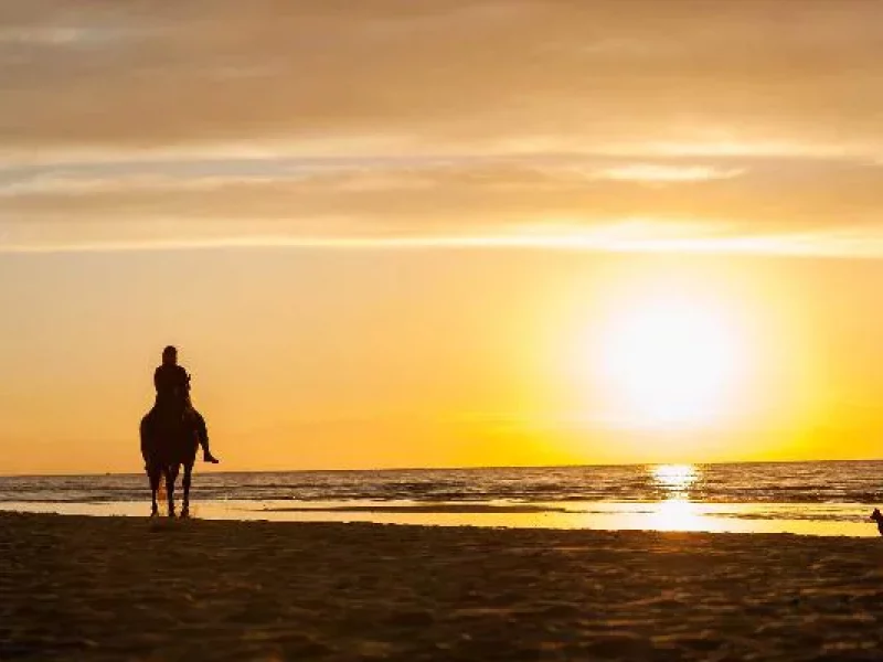 Sunset Horseback Riding tour from Punta Cana