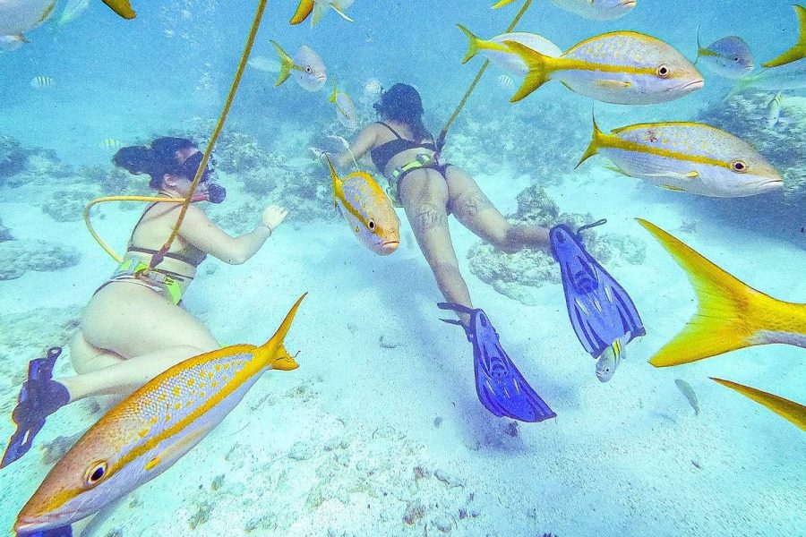 Power Dive & Party Boat: Explore Punta Cana’s Marine World in Punta Cana, Dominican Republic