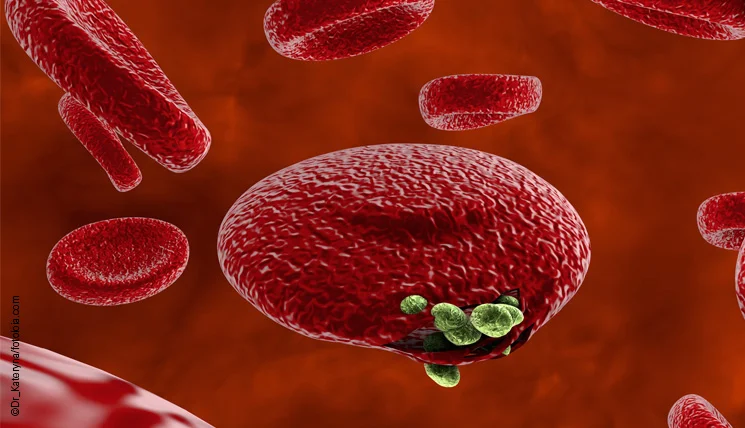 Malaria Virus