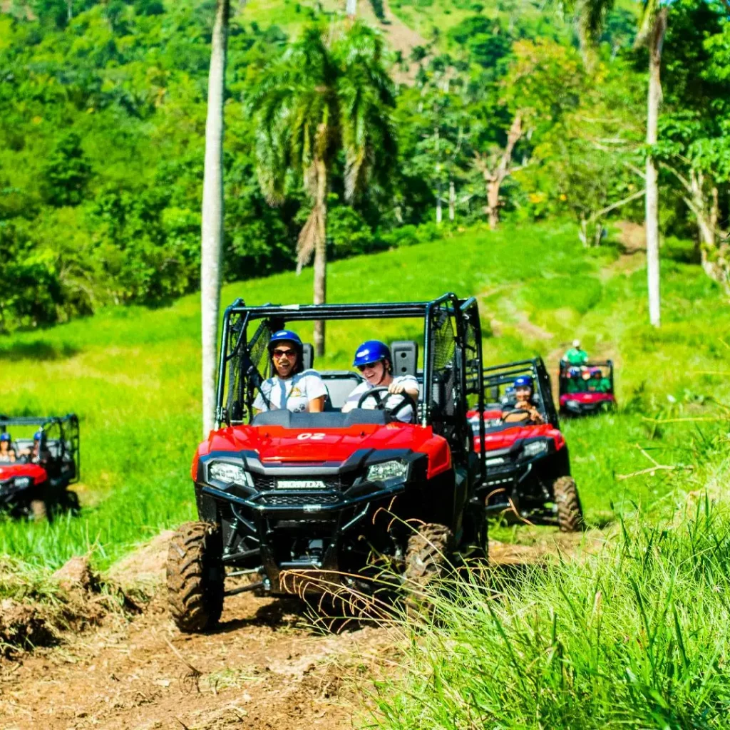 Jungle Boogies in Punta Cana