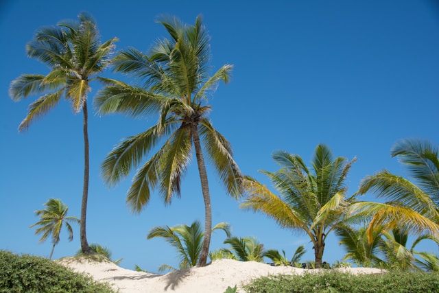 Punta Cana in November