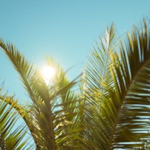 Time in Punta Cana