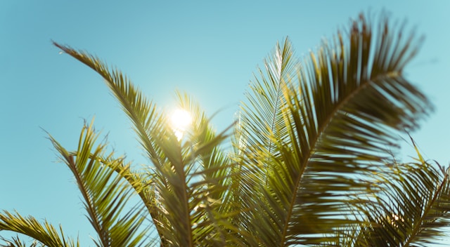 Time in Punta Cana