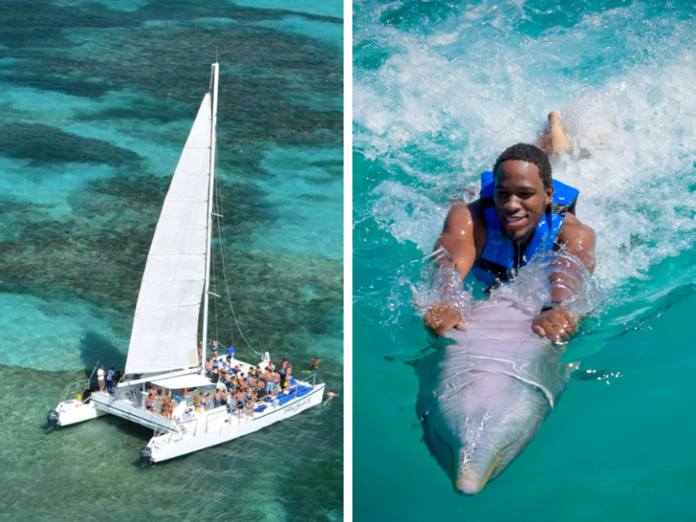 Dolphin Swim and Catamaran Punta Cana Tour