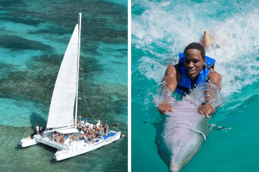 Dolphin Swim and Catamaran in Punta Cana